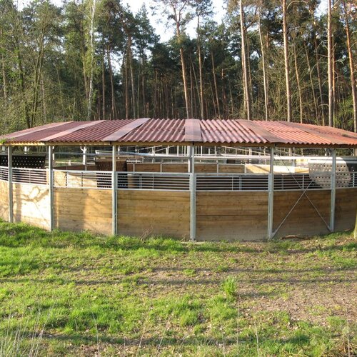 Ground-Standing Horse Walker with partial roof, 18m, 6 Horses, Funny Friesland, Germany