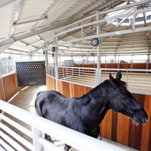 Ring-Gliding Horse Walker, 20m, 7 Horses, Balios South Korea